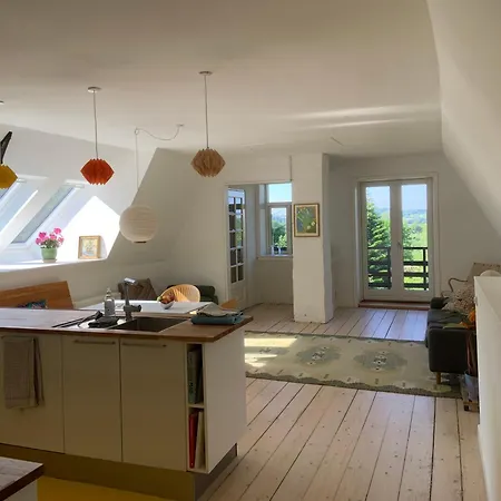 Historic With View Lejlighed *